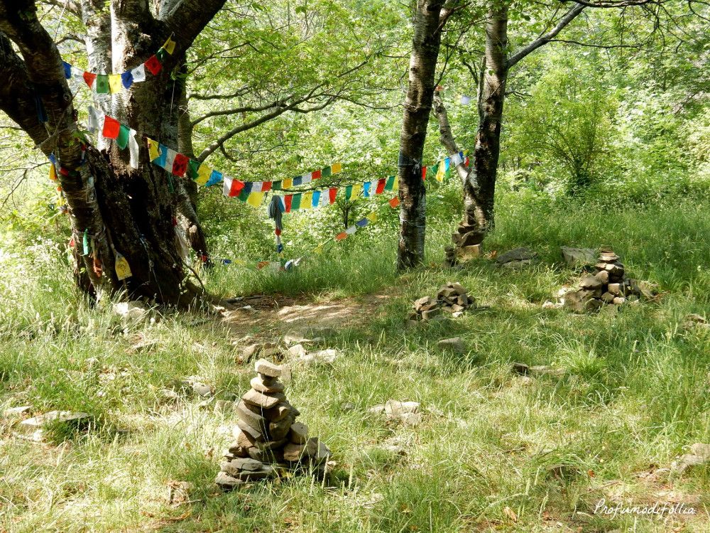 Noi ci siamo seduti qui a riprendere fiato e a goderci il panorama L'Albero con gli occhi nella Valle dell'Orsigna