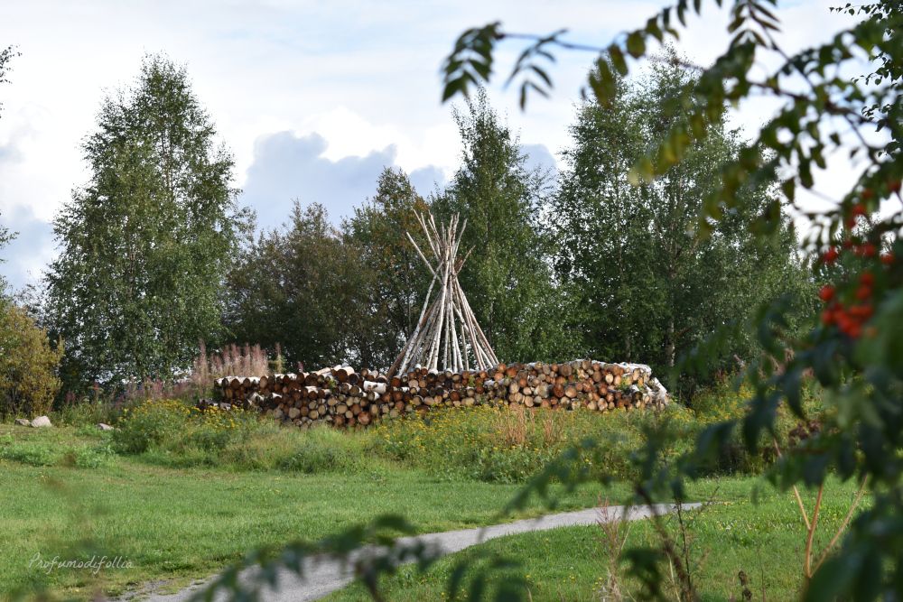 Arktikum Arboretum di Rovaniemi Arboretum dell'Arktikum, vista tra la vegetazione