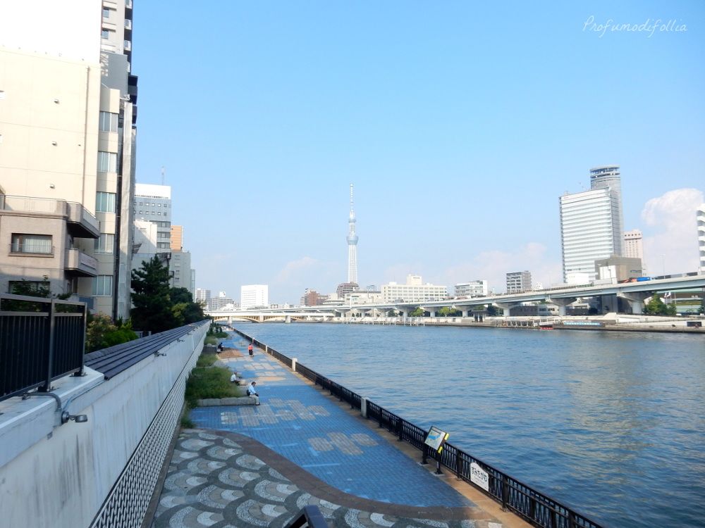 Diario di viaggio Giappone: strada lungo il Sumida-gawa