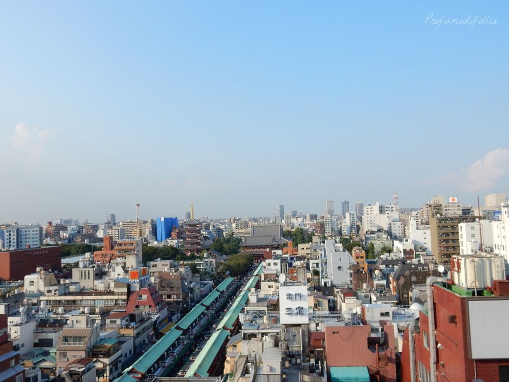 Vista su Asakusa dalla palazzina dell'ufficio turistico Panorama su Asakusa dalla palazzina dell'ufficio turistico