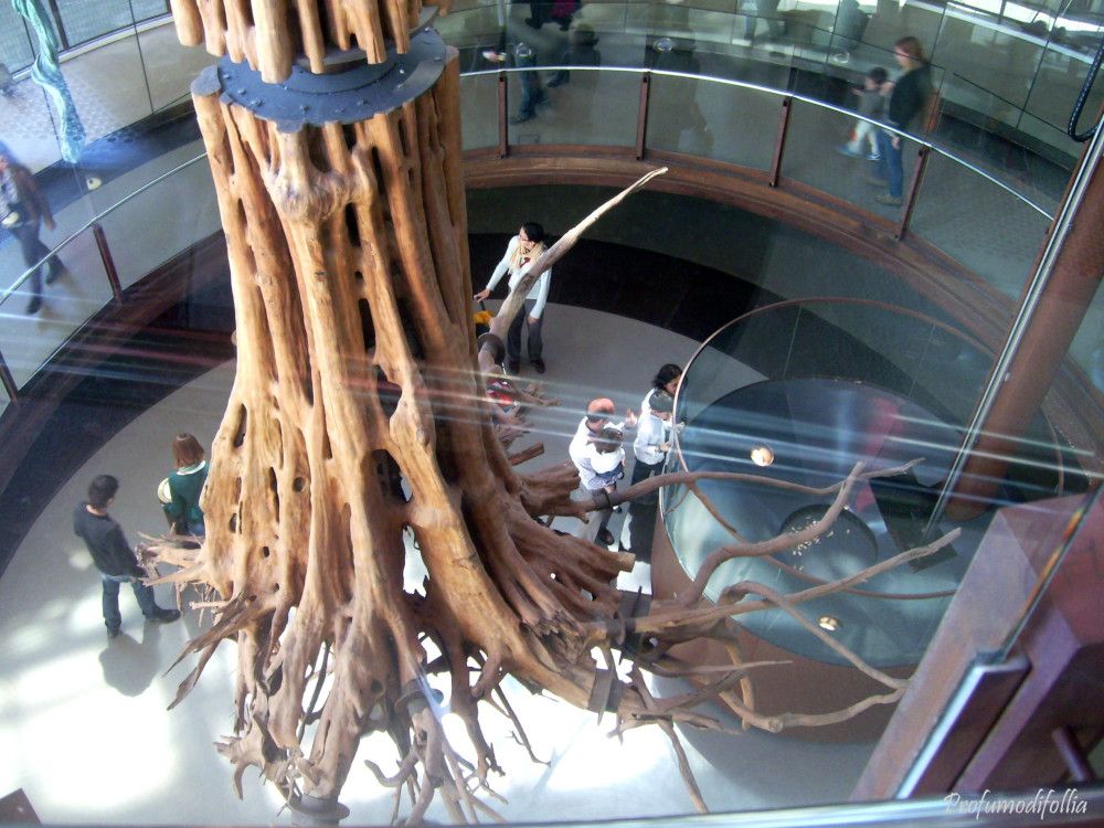 L'albero della vita nel CosmoCaixa L'albero della vita all'interno del Cosmocaixa, Barcellona
