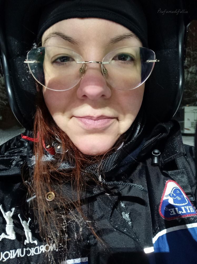 Escursioni Rovaniemi: la mia faccia dopo la motoslitta