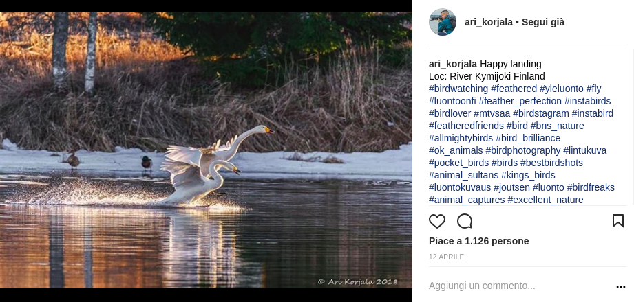 finlandia su instagram