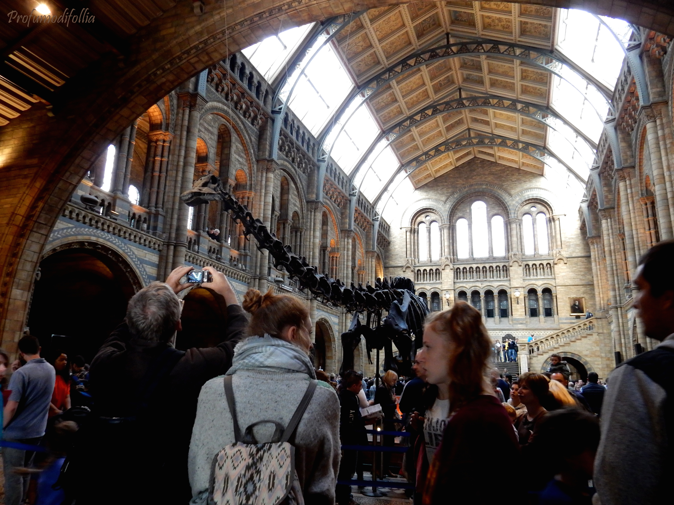 natural history museum londra