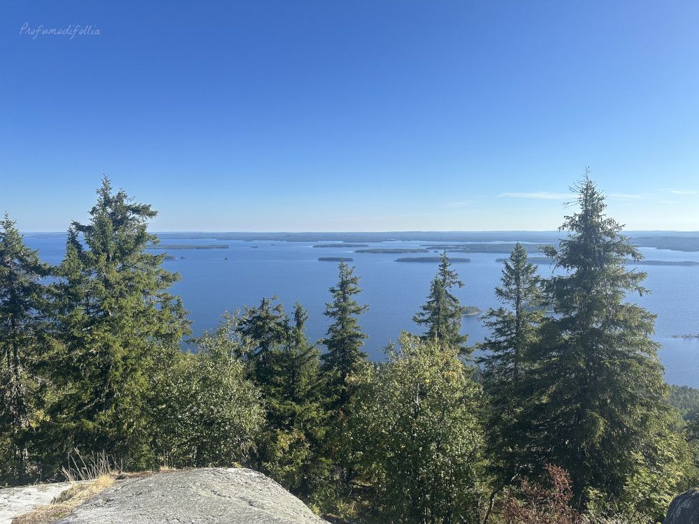 Regione dei laghi Finlandia: la vista sul Parco Nazionale di Koli