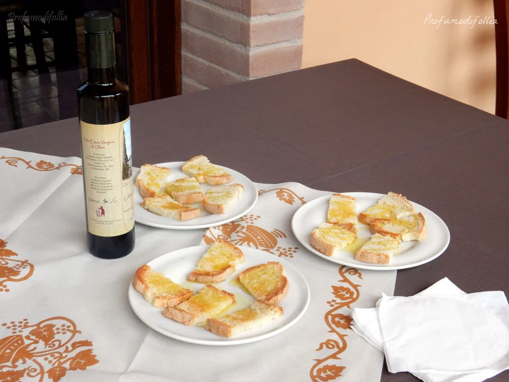 Degustazione dell'olio evo Emilia Romagna cosa vedere: degustazione di olio d'oliva