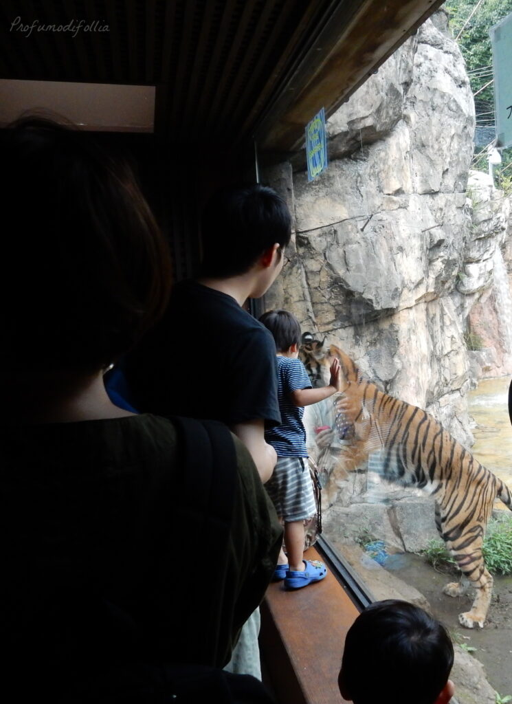 diario di viaggio tokyo zoo di ueno